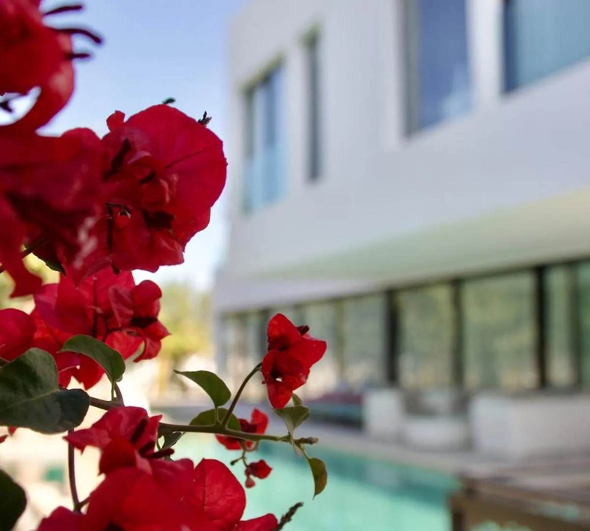 Villa Palm Golf Amelkis Marrakesz Maroko